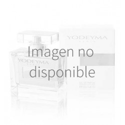 Notion Woman
